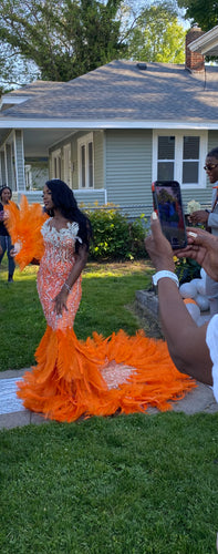 Miyah Crystallized Feathered Prom Gown (USED)