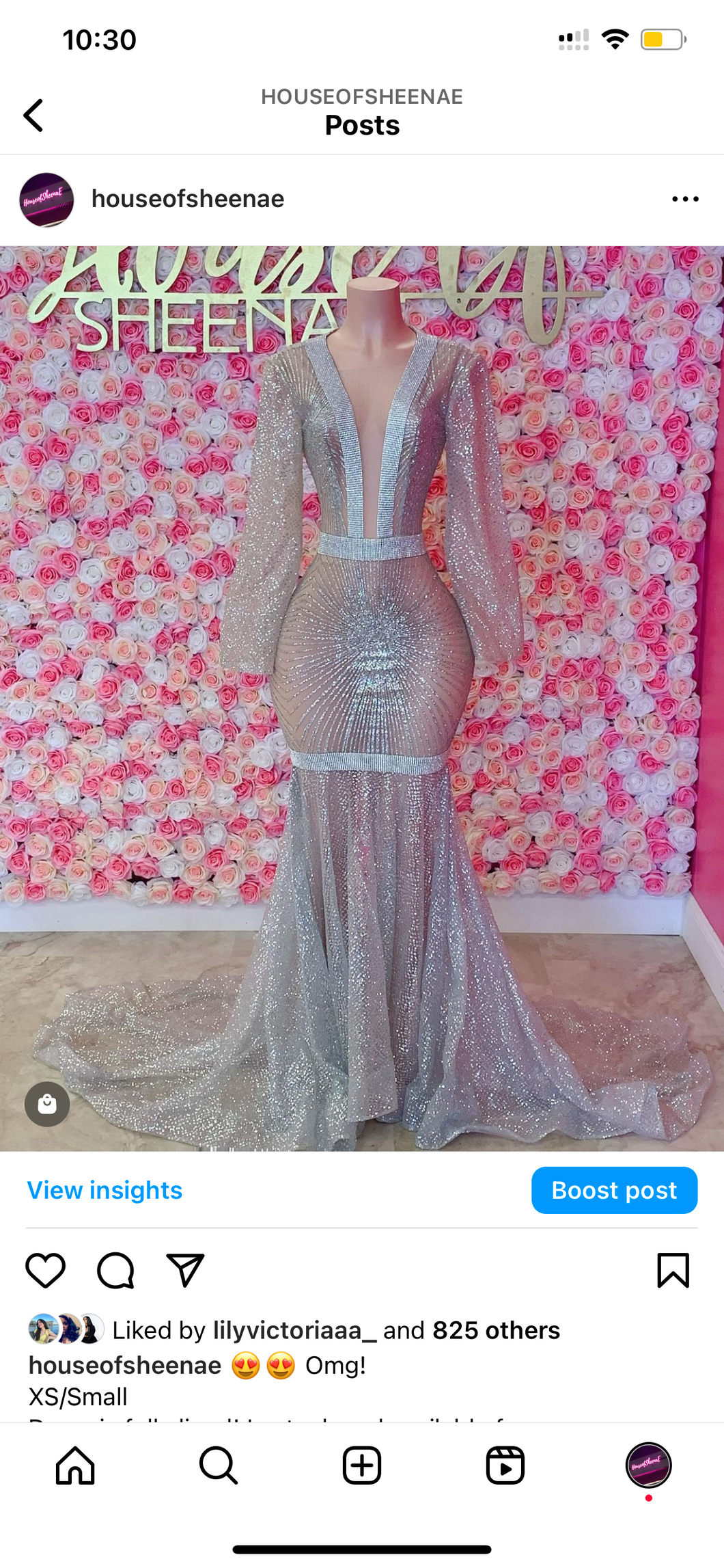 Diamond Princess Prom Gown