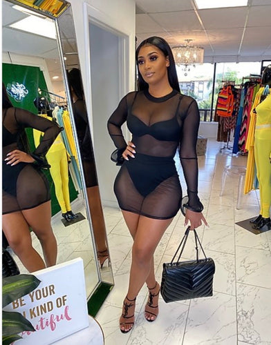 Shima Mesh Dress