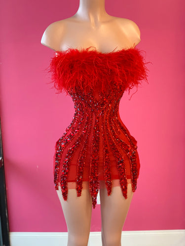 Apryl Feathered Dress